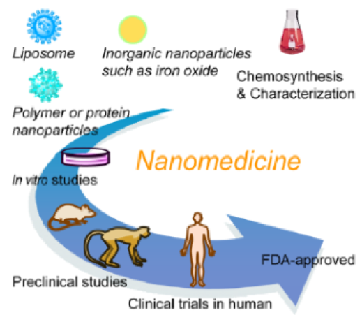 奈米藥物技術(shù)平臺(tái)